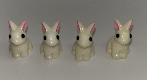 Mini rabbits bunny - bunny, for