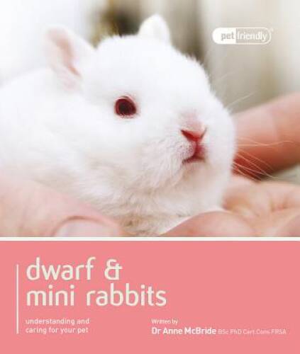 Dwarf mini rabbits - dwarf,
