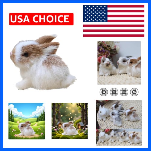 Mini simulation rabbits - simulation,